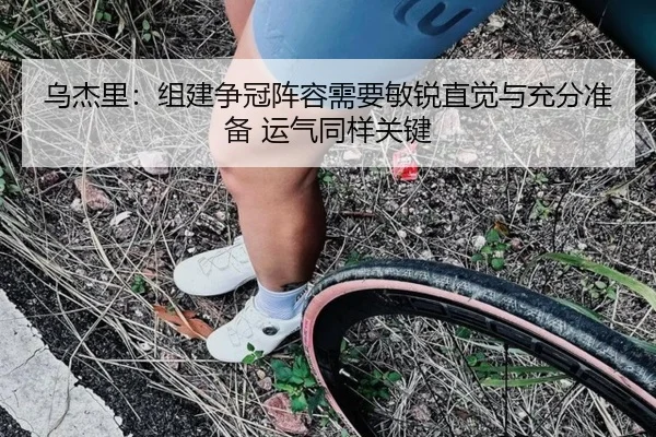 乌杰里：组建争冠阵容需要敏锐直觉与充分准备 运气同样关键